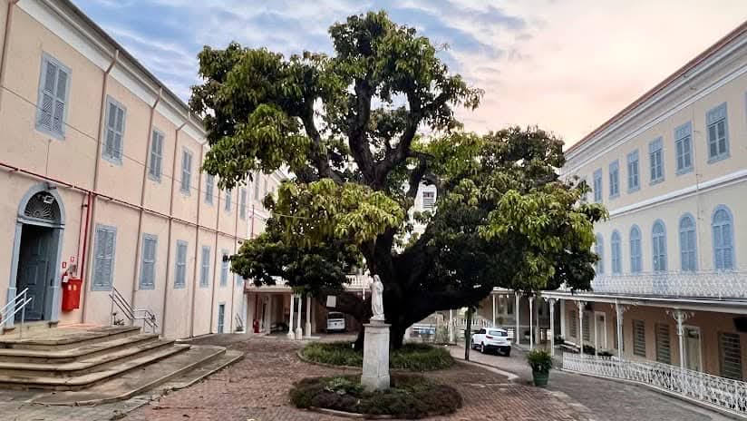 A Mangueira de Itu: uma história que criou raízes e continua a florescer